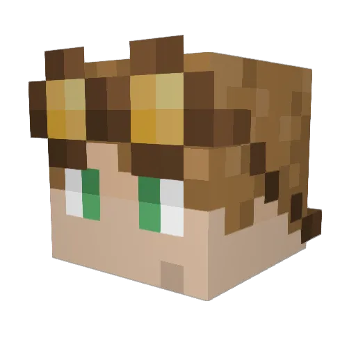 WoodenSuitcase Minecraft avatar head, 3D render