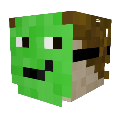 WoodenTiger1018 Minecraft avatar head, 3D render
