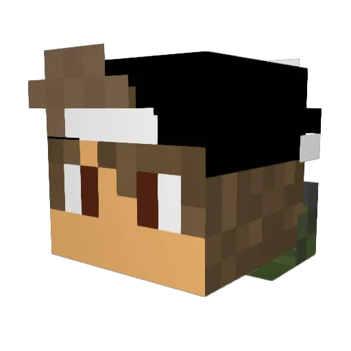Wooden_Marcel Minecraft avatar head, 3D render