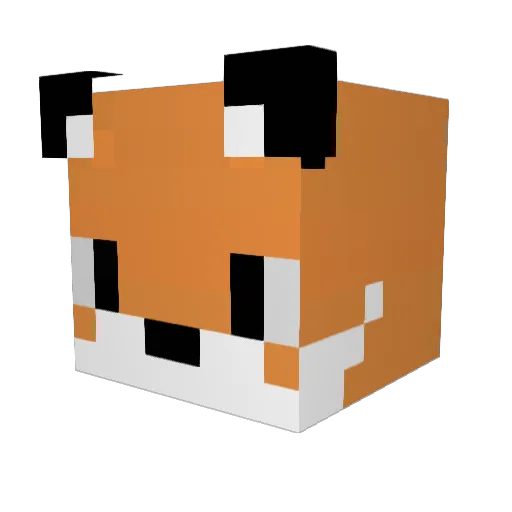 Woodenfox12 Minecraft avatar head, 3D render