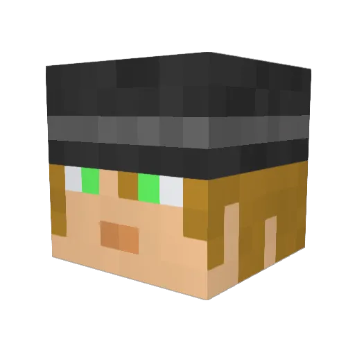 Wooderou Minecraft avatar head, 3D render