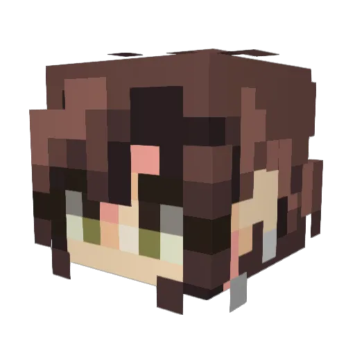 WoodlandCretin Minecraft avatar head, 3D render