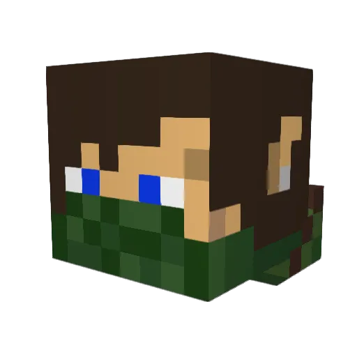 Woodlandcoder Minecraft avatar head, 3D render