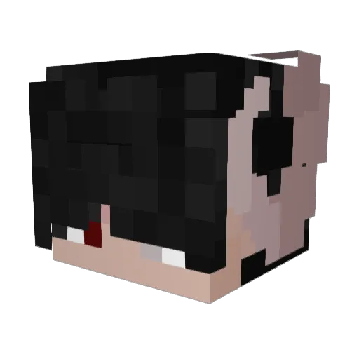 Woodntulik2no Minecraft avatar head, 3D render