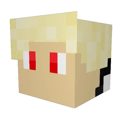 Woodruff14 Minecraft avatar head, 3D render
