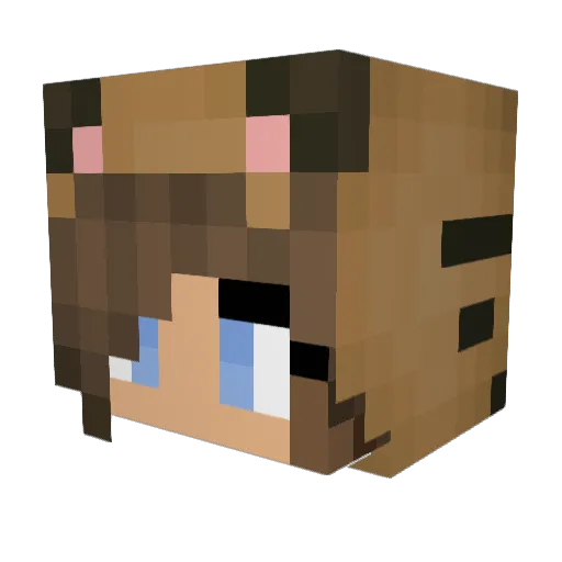 Woodshadow Minecraft avatar head, 3D render