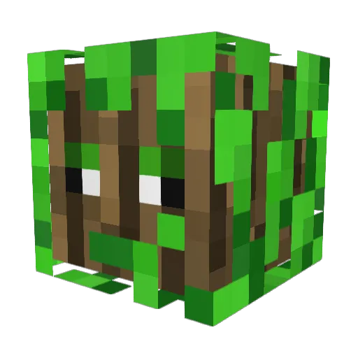 Woodsplinter_ Minecraft avatar head, 3D render