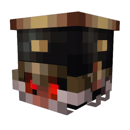 Woodster64 Minecraft avatar head, 3D render
