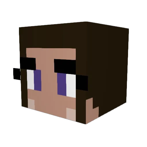 Woodstyle Minecraft avatar head, 3D render