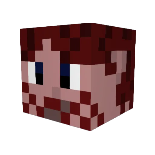 Woodward735 Minecraft avatar head, 3D render