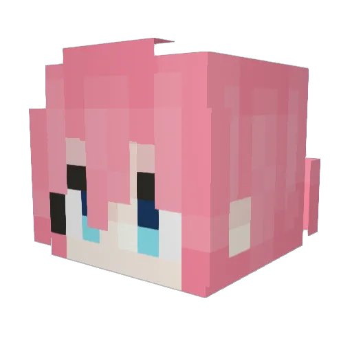 Woodxp237 Minecraft avatar head, 3D render