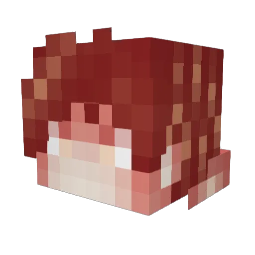 Woody47 Minecraft avatar head, 3D render
