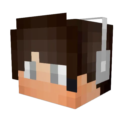 WoodyAdventure Minecraft avatar head, 3D render