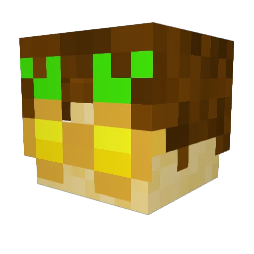 WoodyNH Minecraft avatar head, 3D render