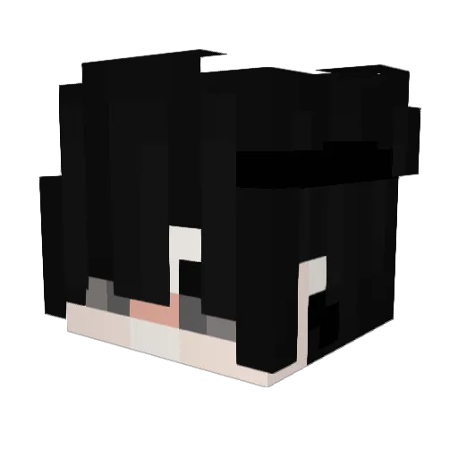 Woody_2091 Minecraft avatar head, 3D render
