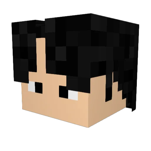 Wooest_311 Minecraft avatar head, 3D render