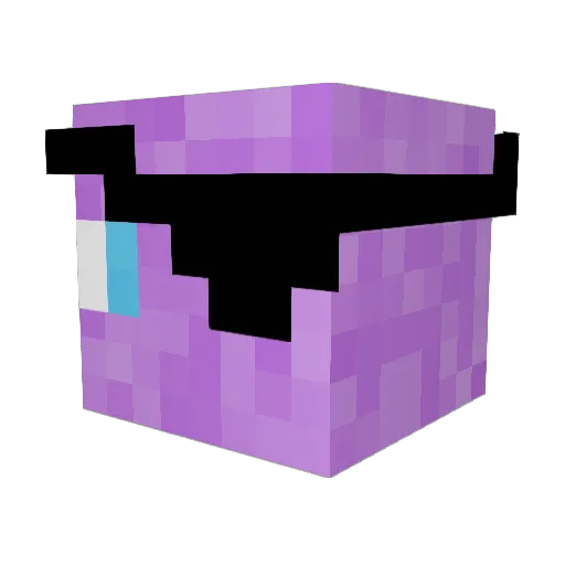 WoofBarked Minecraft avatar head, 3D render