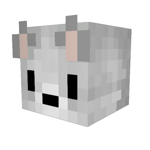 WoofBub Minecraft avatar head, 3D render