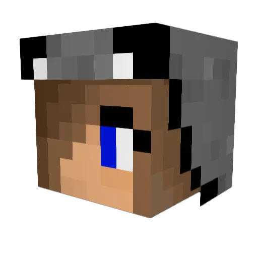 Woofina07 Minecraft avatar head, 3D render