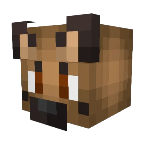 WoofingWoofers Minecraft avatar head, 3D render