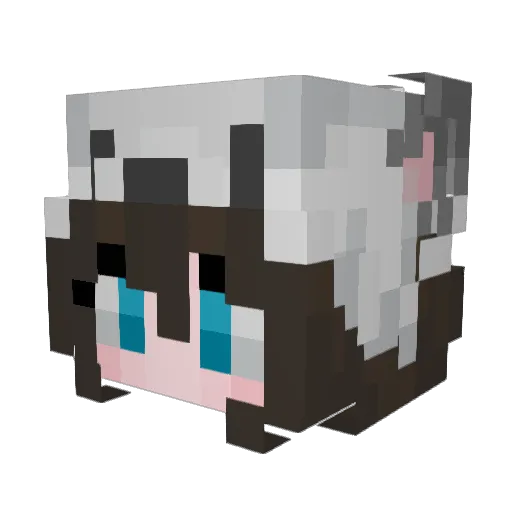 Wooflemon Minecraft avatar head, 3D render
