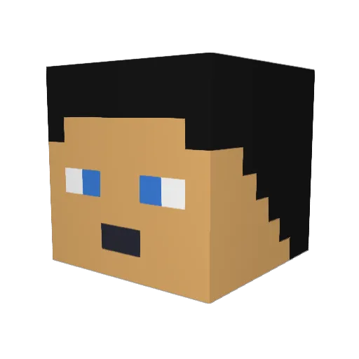 Woojjami Minecraft avatar head, 3D render