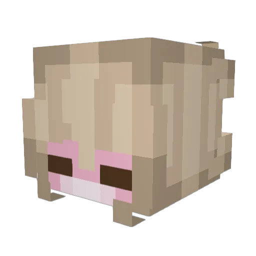 Wooketgong Minecraft avatar head, 3D render