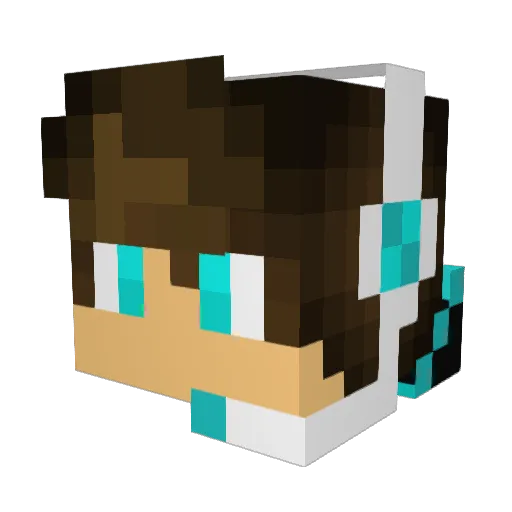 Wookie001 Minecraft avatar head, 3D render
