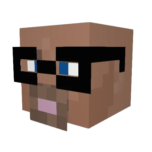 Wookie66 Minecraft avatar head, 3D render