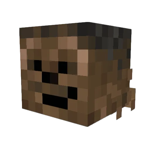 WookieOT Minecraft avatar head, 3D render