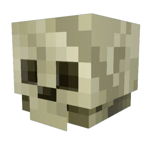 WookieWoo Minecraft avatar head, 3D render