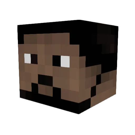 Wookiee80 Minecraft avatar head, 3D render