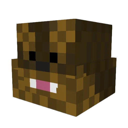 Wookieman92 Minecraft avatar head, 3D render