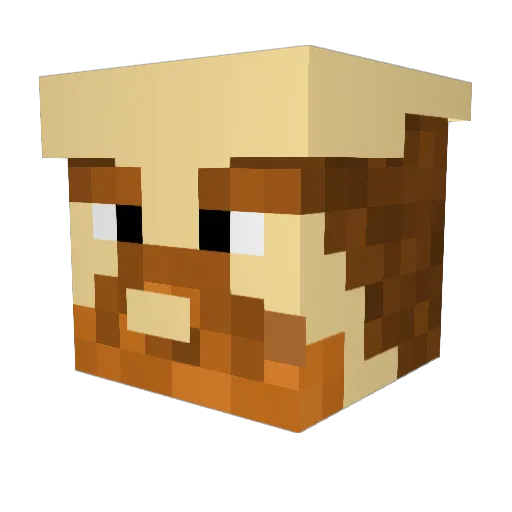 Wookilicious Minecraft avatar head, 3D render