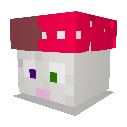 WooklandLord Minecraft avatar head, 3D render
