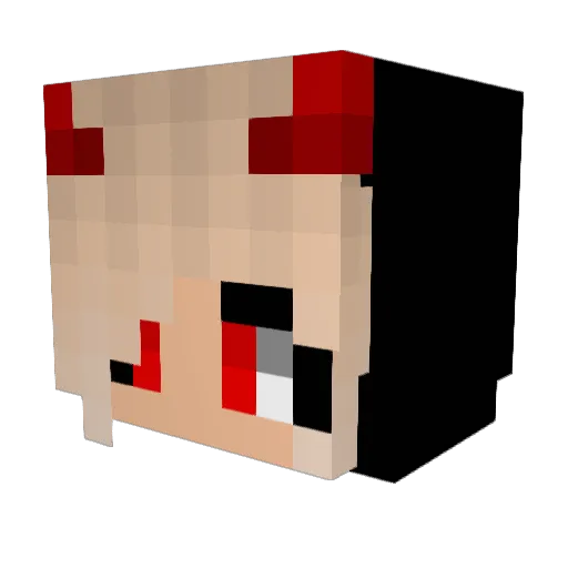 Wookou Minecraft avatar head, 3D render