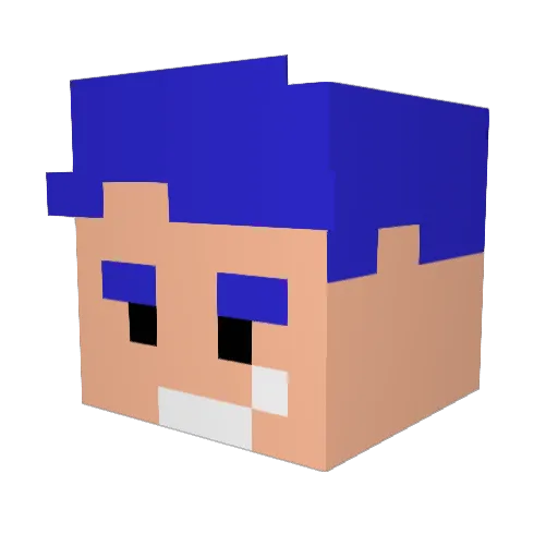 WoolBonsai41179 Minecraft avatar head, 3D render