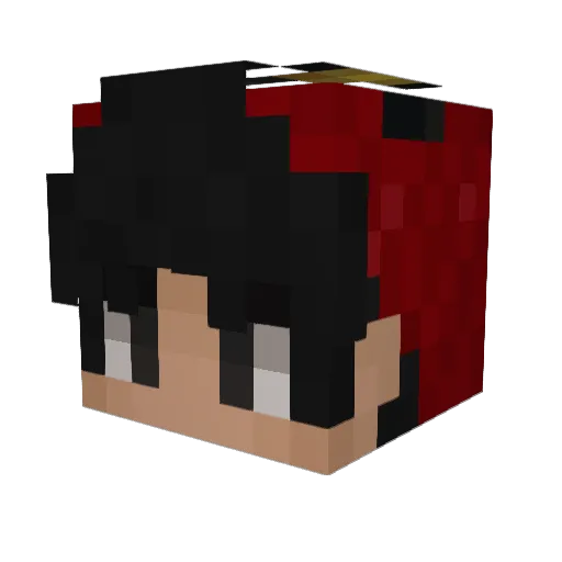 WoolSnow421682 Minecraft avatar head, 3D render