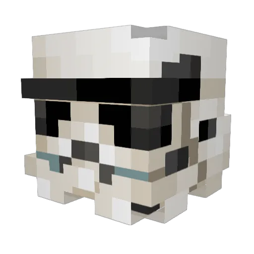 WoolSquirrel269 Minecraft avatar head, 3D render