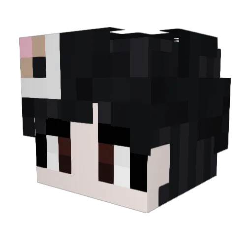 Wool_castle0909 Minecraft avatar head, 3D render