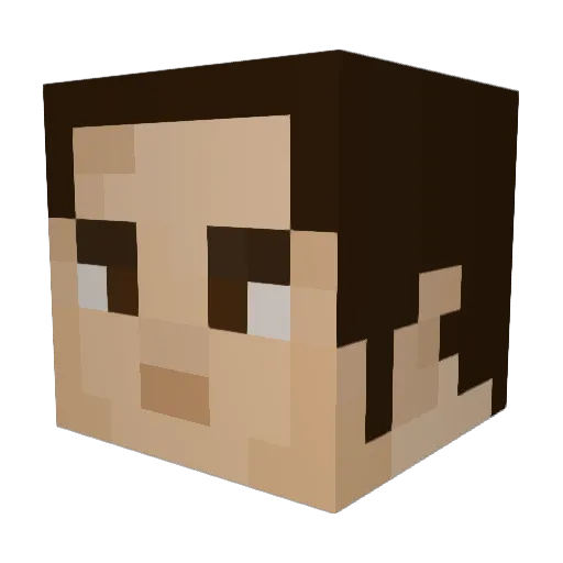 WoolenParrot Minecraft avatar head, 3D render