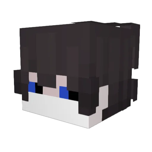 WoolfyDogFish6 Minecraft avatar head, 3D render