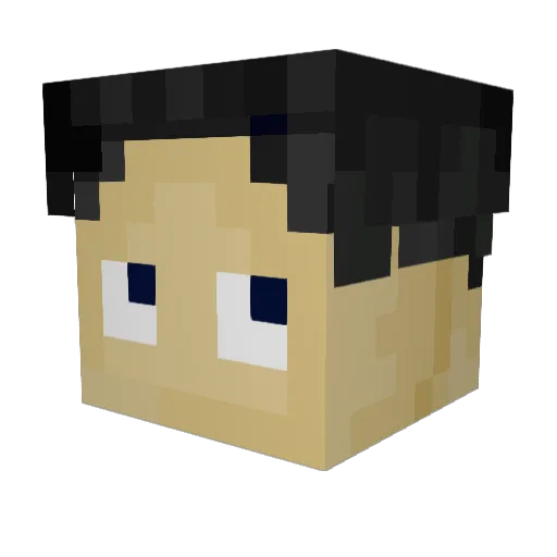 Woolite Minecraft avatar head, 3D render