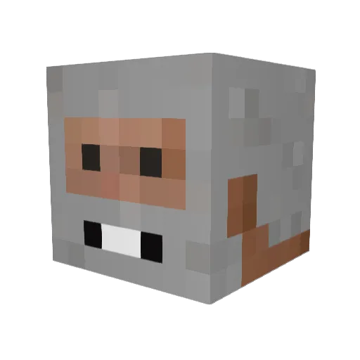 WoollyVessel143 Minecraft avatar head, 3D render