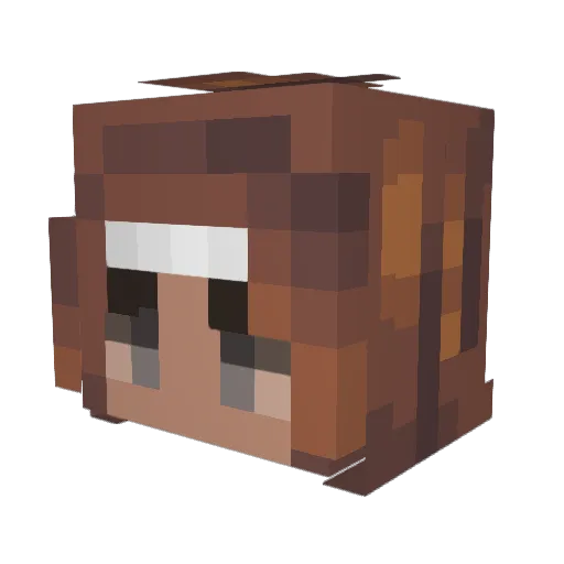 WoolyJeans94 Minecraft avatar head, 3D render