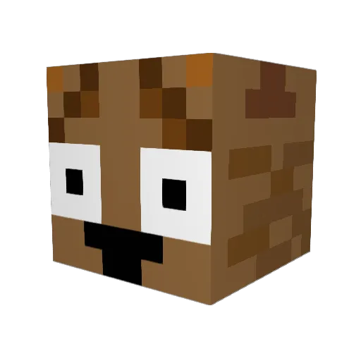 WoolyWombatt Minecraft avatar head, 3D render