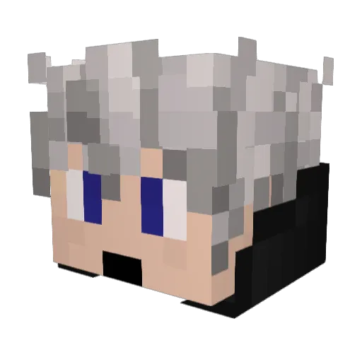 Woolycooly Minecraft avatar head, 3D render