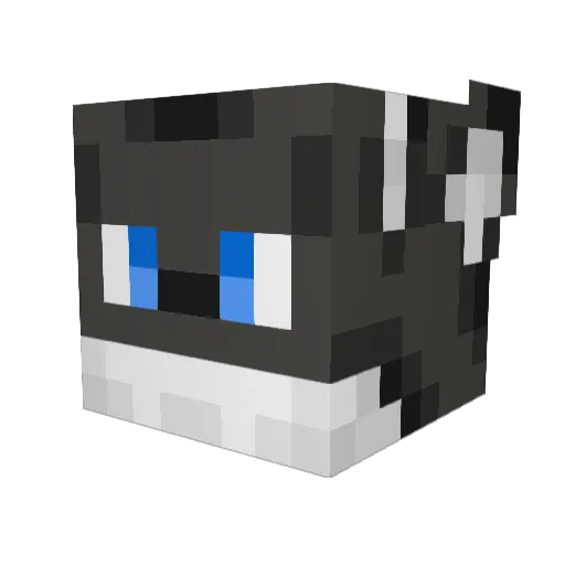 Woomy6 Minecraft avatar head, 3D render