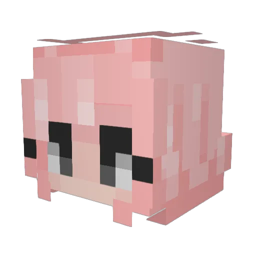 Wooni_Gni Minecraft avatar head, 3D render
