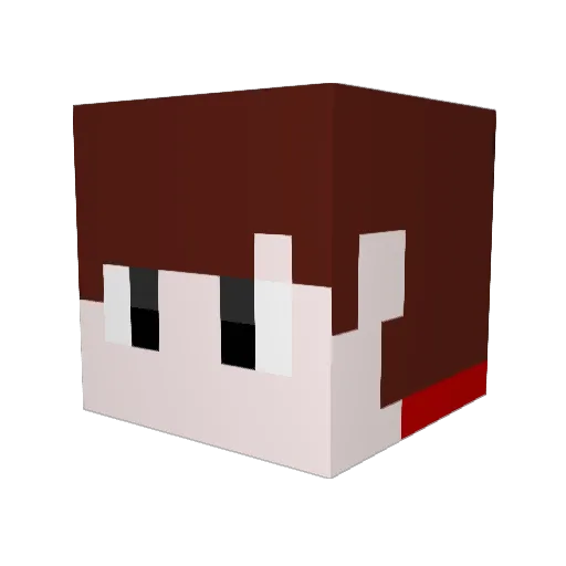 Wooniji Minecraft avatar head, 3D render